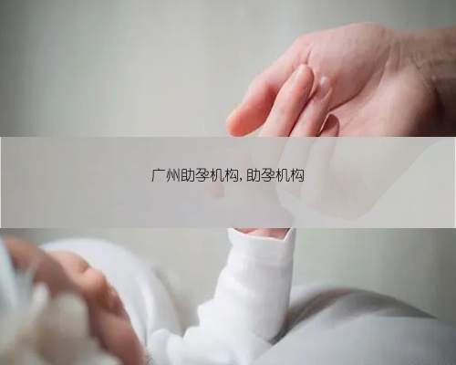 广州助孕机构,助孕机构