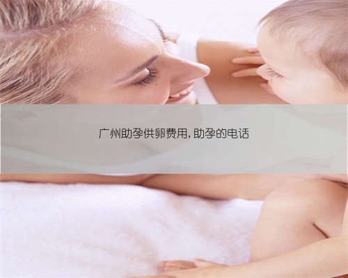 广州助孕供卵费用,助孕的电话
