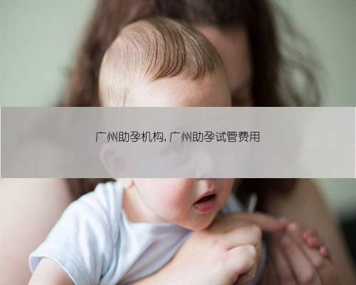 广州助孕机构,广州助孕试管费用