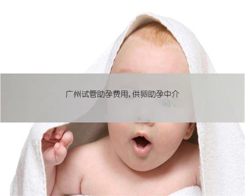 广州试管助孕费用,供卵助孕中介