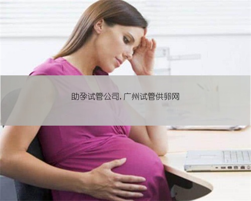 助孕试管公司,广州试管供卵网