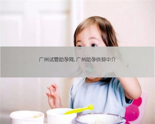 广州试管助孕网,广州助孕供卵中介