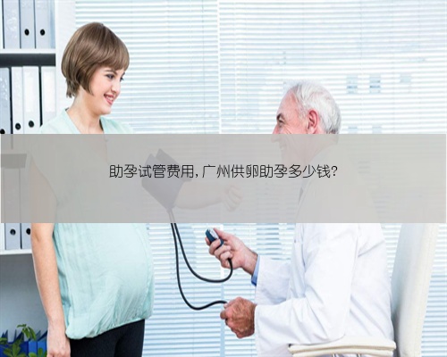 助孕试管费用,广州供卵助孕多少钱?