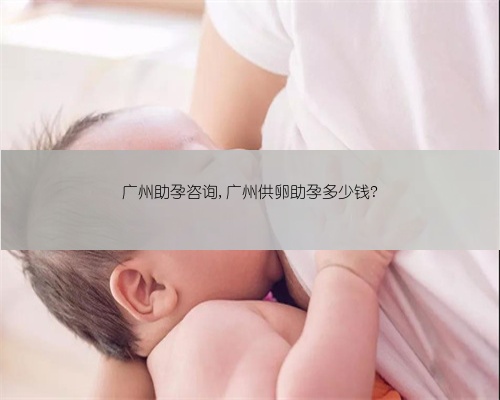 广州助孕咨询,广州供卵助孕多少钱?