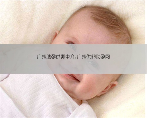 广州助孕供卵中介,广州供卵助孕网