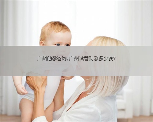 广州助孕咨询,广州试管助孕多少钱?