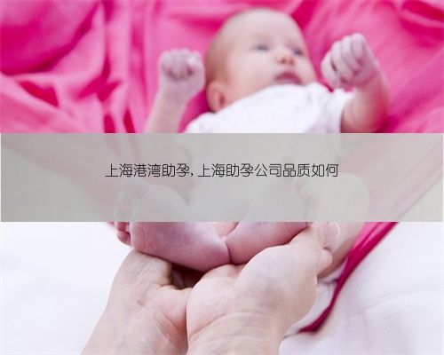上海港湾助孕,上海助孕公司品质如何