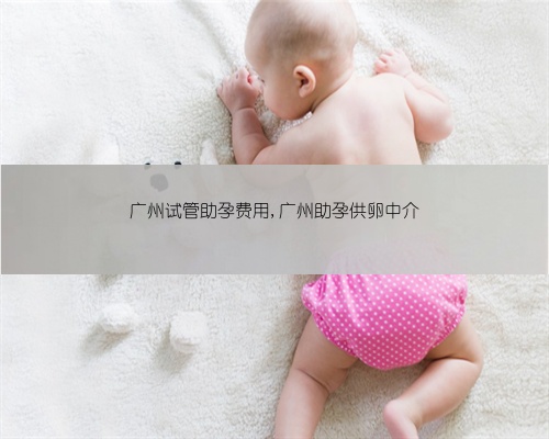 广州试管助孕费用,广州助孕供卵中介