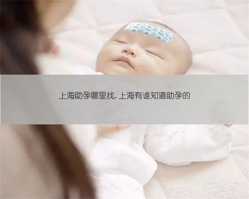 上海助孕哪里找,上海有谁知道助孕的