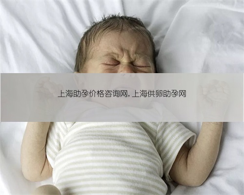 上海助孕价格咨询网,上海供卵助孕网