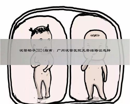 试管助孕2024指南：广州试管医院无需结婚证选择