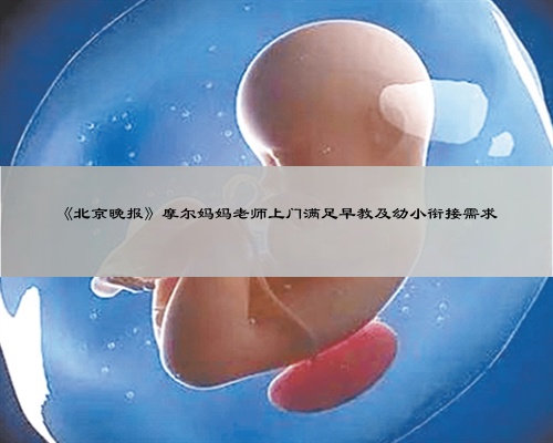 《北京晚报》摩尔妈妈老师上门满足早教及幼小衔接需求