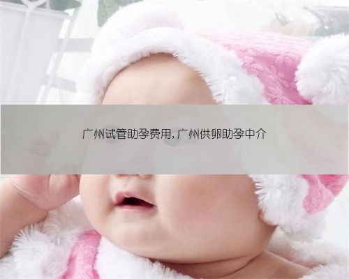 广州试管助孕费用,广州供卵助孕中介