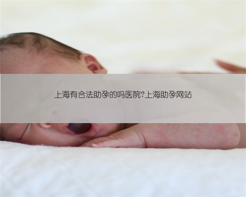 上海有合法助孕的吗医院?上海助孕网站