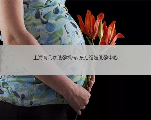 上海有几家助孕机构,东方福娃助孕中心