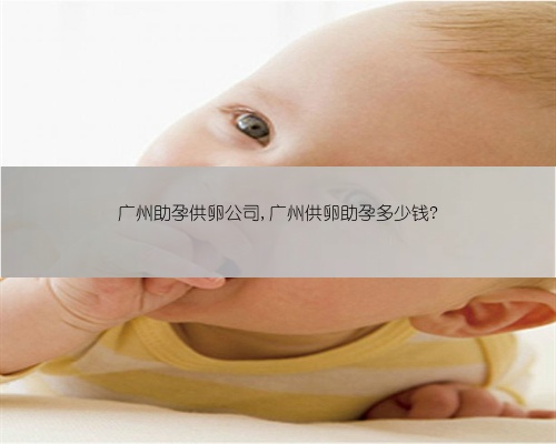 广州助孕供卵公司,广州供卵助孕多少钱?