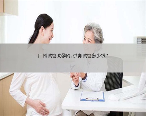 广州试管助孕网,供卵试管多少钱?
