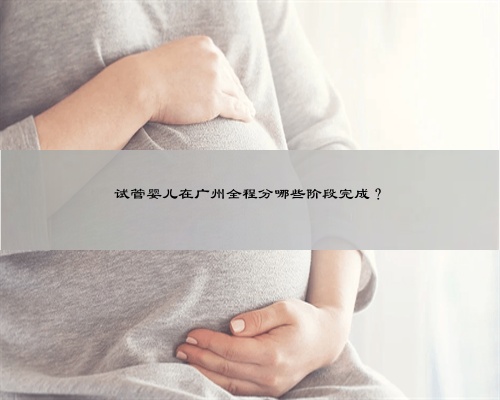 试管婴儿在广州全程分哪些阶段完成？