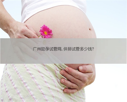广州助孕试管网,供卵试管多少钱?