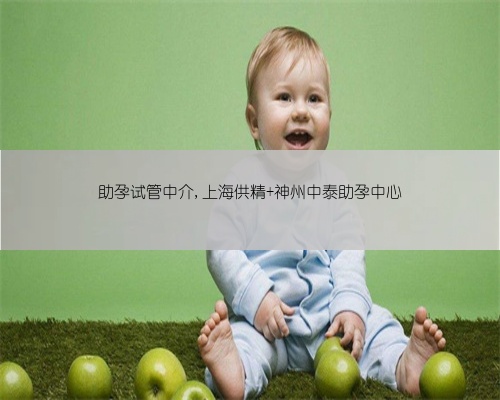 助孕试管中介,上海供精 神州中泰助孕中心