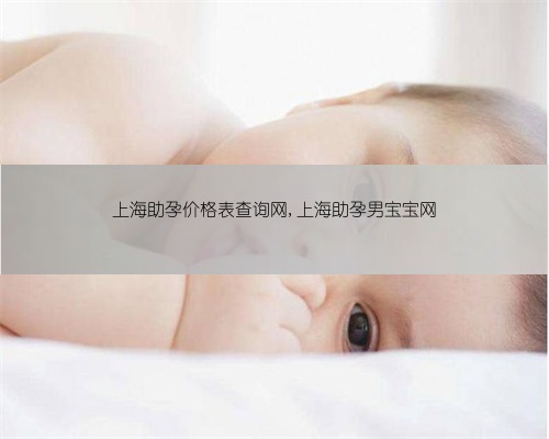 上海助孕价格表查询网,上海助孕男宝宝网