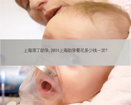 上海添丁助孕,2024上海助孕要花多少钱一次?