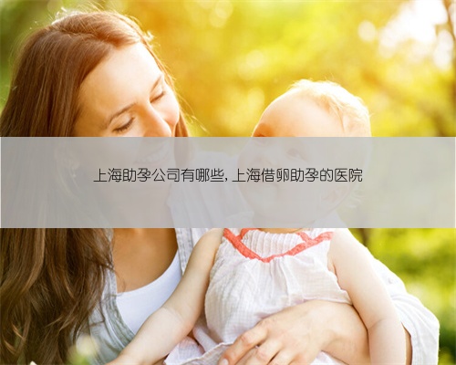 上海助孕公司有哪些,上海借卵助孕的医院