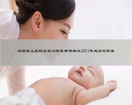 试管婴儿医院在武汉的花费明细及2024年成功率报告