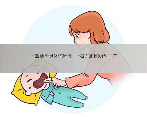 上海助孕具体流程图,上海去哪找助孕工作