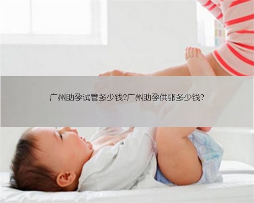 广州助孕试管多少钱?广州助孕供卵多少钱?