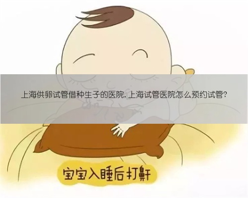 上海供卵试管借种生子的医院,上海试管医院怎么预约试管?
