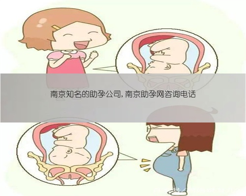 南京知名的助孕公司,南京助孕网咨询电话