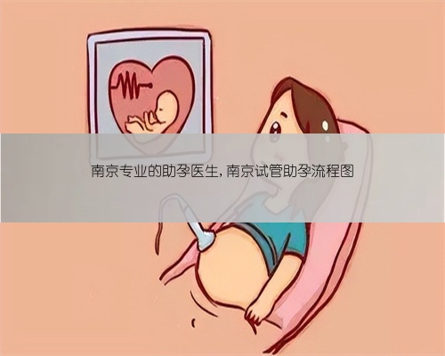 南京专业的助孕医生,南京试管助孕流程图