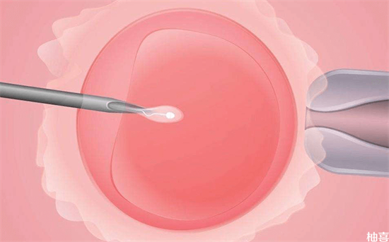 囊胚移植20天后HCG翻倍慢，是否还能保住胎儿？